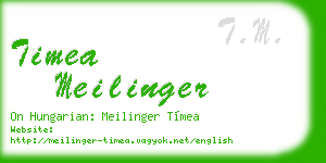 timea meilinger business card